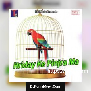 Hriday Ke Pinjra Ma Amit Yadav