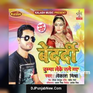 Bedardi Chumma Leke Chale Gaye Vikash Mishra