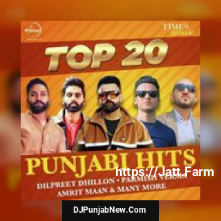 Top 20 Punjabi Hits