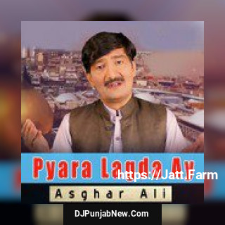 Pyara Lagda Ay