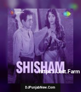 Shisham