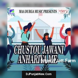 Chustou Jawani Anhariya Me Ajay Ajnabi