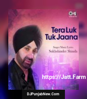 Tera Luk Tuk Jaana