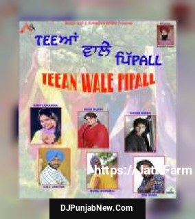 Teean Wale Pipall