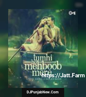 Tumhi Ho Mehboob Mere - Love Songs Collection