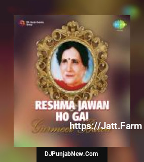 Reshma Jawan Ho Gai