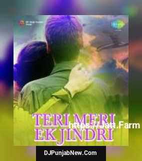 Teri Meri Ek Jindri