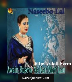 Dholna Vas Akhan De Kol Naseebo Lal