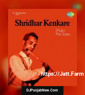 Shridhar Kenkare Flute Film Tunes