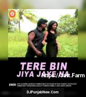 Tere Bin Jiya Jaye Na Anil Sharma