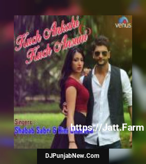 Kuch Ankahi Kuch Ansuni Shabab Sabri, Rini Chandra mp3 download