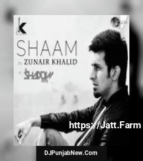 Shaam Zunair Khalid, Dj Shadow mp3 download