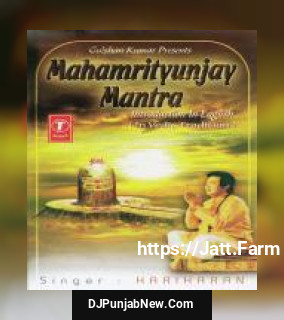 Swasti Vaachan, Viniyog, Sankalp, Nyaas, Dhyaan, Mahamrityunjay Mantra Hariharan mp3 download