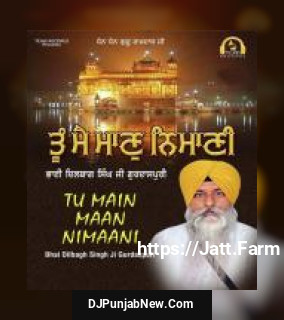 Tu Main Maan Nimaani Bhai Dilbagh Singh Ji Gurdaspuri mp3 download