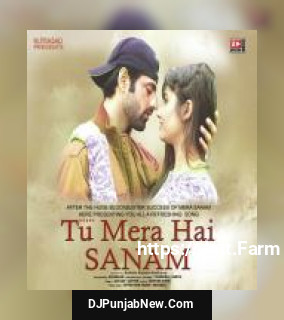 Tu Mera Hai Sanam Altaaf Sayyed mp3 download