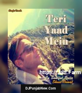 Teri Yaad Mein Shael Oswal mp3 download