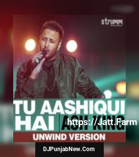 Tu Aashiqui Hai - Unwind Version Ash King mp3 download