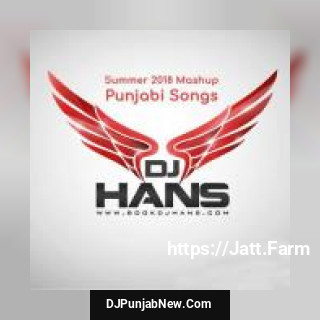 Summer Mashup 2018 Dj Hans mp3 download