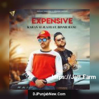 Expensive Karan Aujla, Binnie Ranu mp3 download