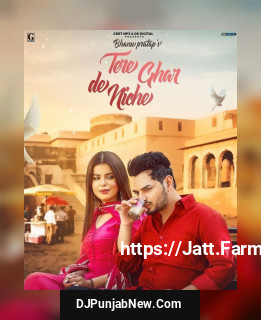 Tere Ghar De Niche mp3 download