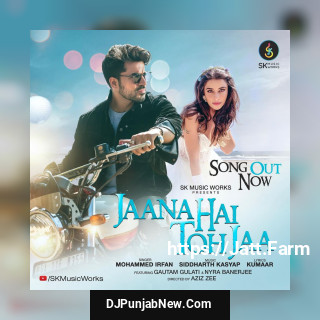 Jaana Hai Toh Jaa mp3 download