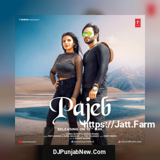 Pajeb mp3 download