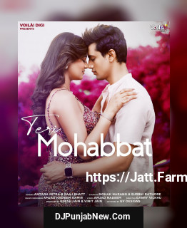 Teri Mohabbat mp3 download