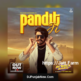 Pandit Ji (Dj Wale Babu) mp3 download