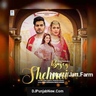 Bajegi Shehnai mp3 download