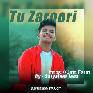 Tu Zaroori mp3 download