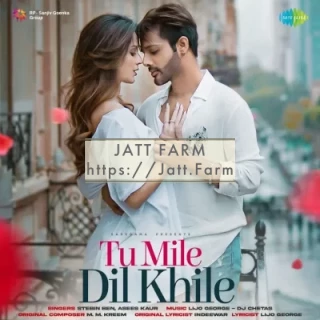 Tu Mile Dil Khile mp3 download