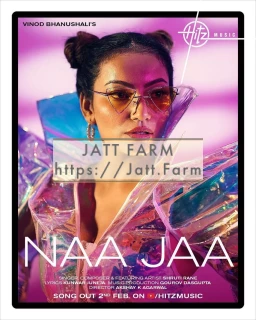 Naa Jaa mp3 download