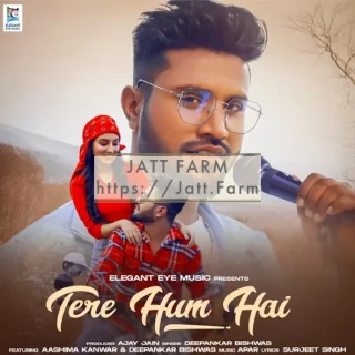 Tere Hum Hai mp3 download