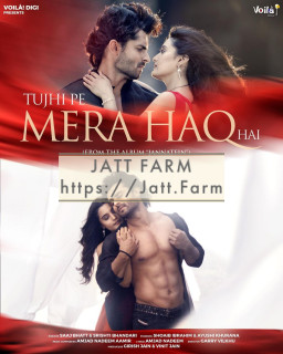 Tujhi Pe Mera Haq Hai mp3 download