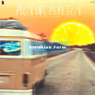 Picture Perfect mp3 download