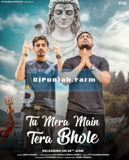 Tu Mera Main Tera Bhole mp3 download