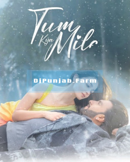 Tum Kya Mile mp3 download