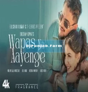 Wapas Na Aayenge mp3 download