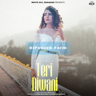 Teri Diwani mp3 download