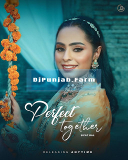 Perfect Together mp3 download