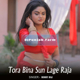 Tora Bina Sun Lage Raja mp3 download