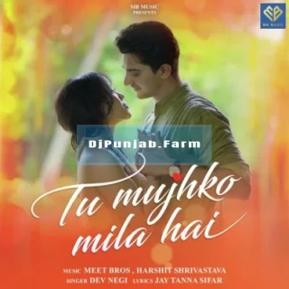 Tu Mujhko Mila Hai mp3 download