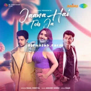 Jana Hai Toh Ja mp3 download