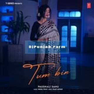 Tum Bin mp3 download