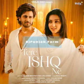 Tere Ishq Ne mp3 download