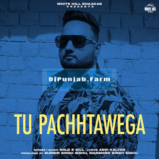 Tu Pachhtawega mp3 download