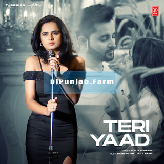 Teri Yaad mp3 download