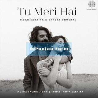 Tu Meri Hai mp3 download