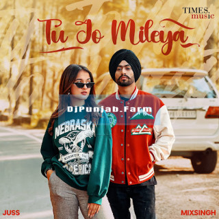 Tu Jo Mileya mp3 download