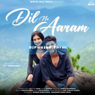 Dil nu Aaram mp3 download